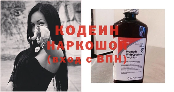 индика Краснотурьинск