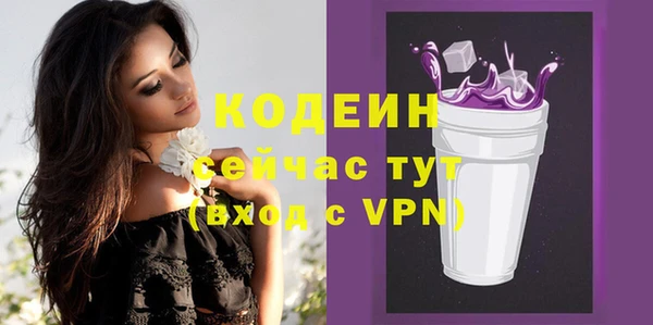 индика Краснотурьинск