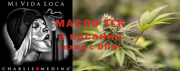 индика Краснотурьинск