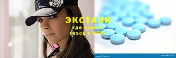 индика Краснотурьинск