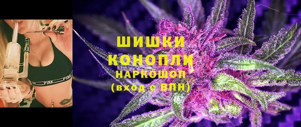 соль ск Краснослободск