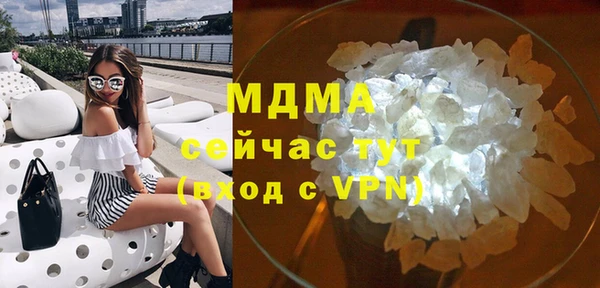 индика Краснотурьинск