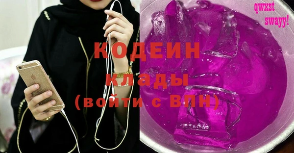 соль ск Краснослободск
