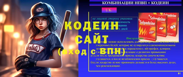 индика Краснотурьинск