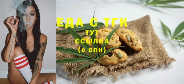 индика Краснотурьинск