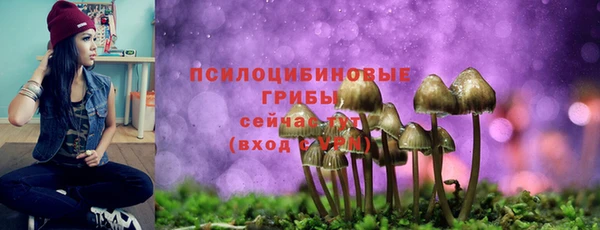 индика Краснотурьинск