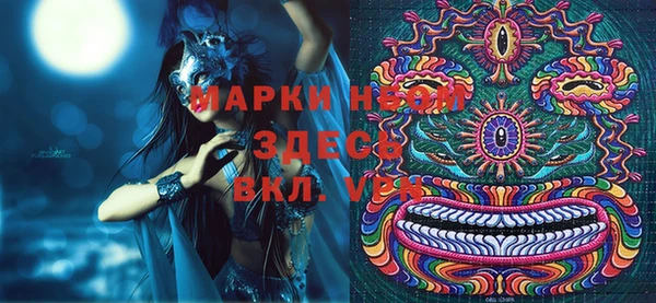 индика Краснотурьинск