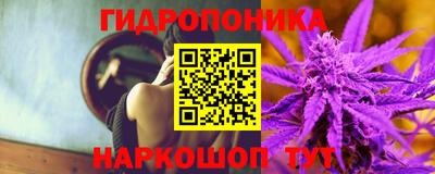 PSILOCYBIN Нальчик