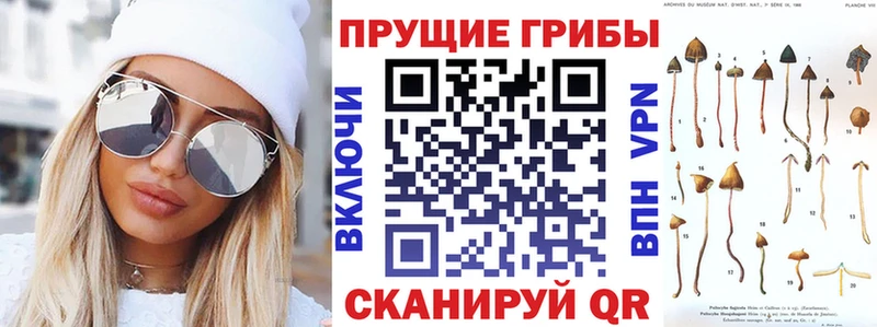 Галлюциногенные грибы мухоморы  мега как зайти  Светлоград 