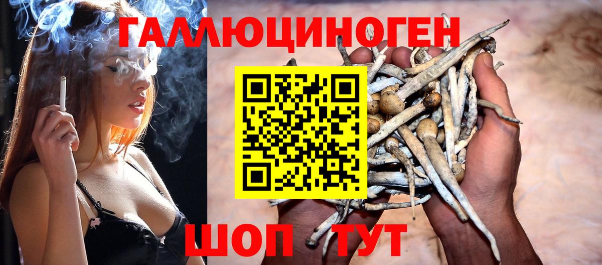 Псилоцибиновые грибы Psilocybe  Вход с VPN  Светлоград  Галлюциногенные грибы Psilocybine cubensis 